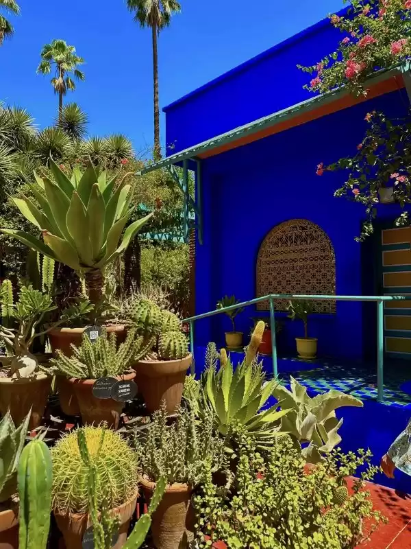 Visiter Marrakech en Automne : Dévoiler la magie