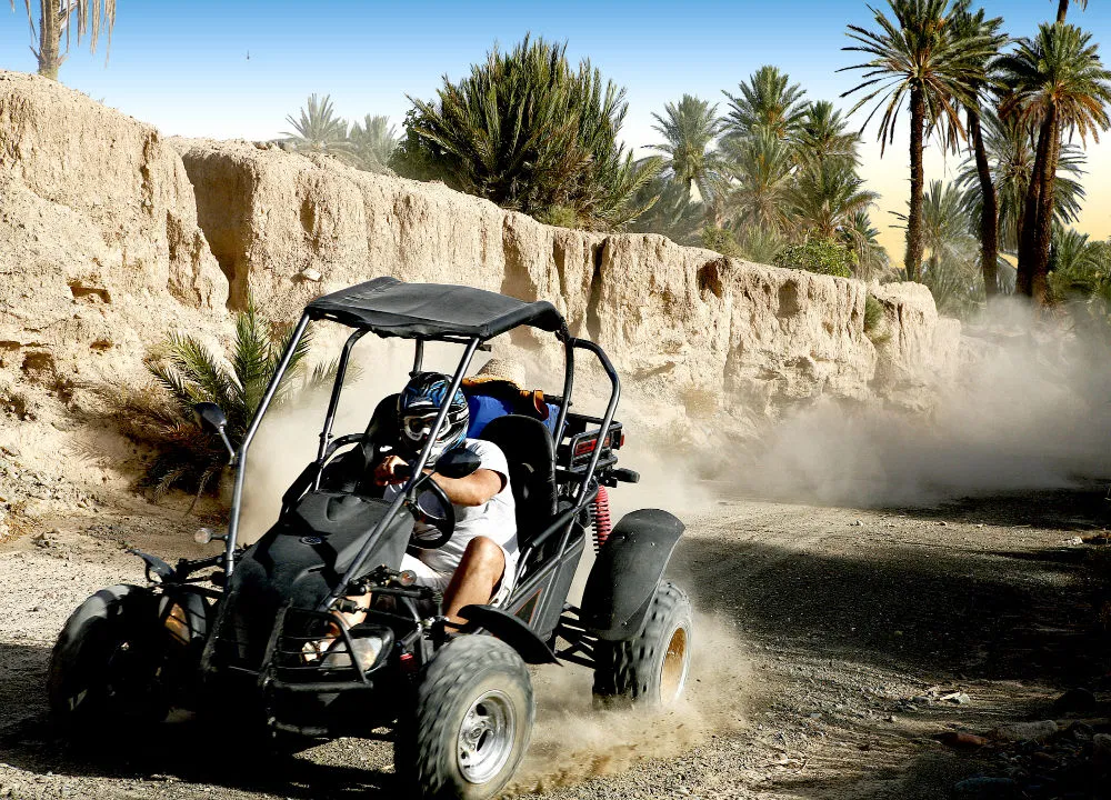 Quad & Buggy in the palm grove