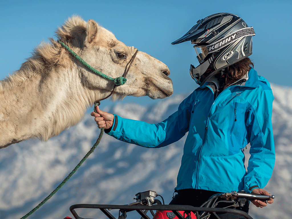 Combined Quad and Camel Ride in La Palmeraie 