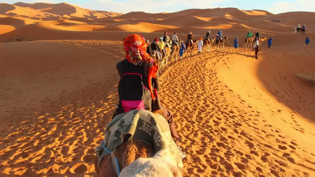 Zagora : Circuit Partagé de 2 Jours dans le Désert 