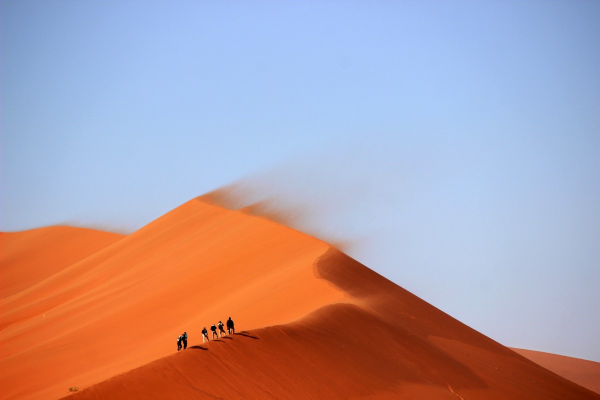 Dunes et Oasis