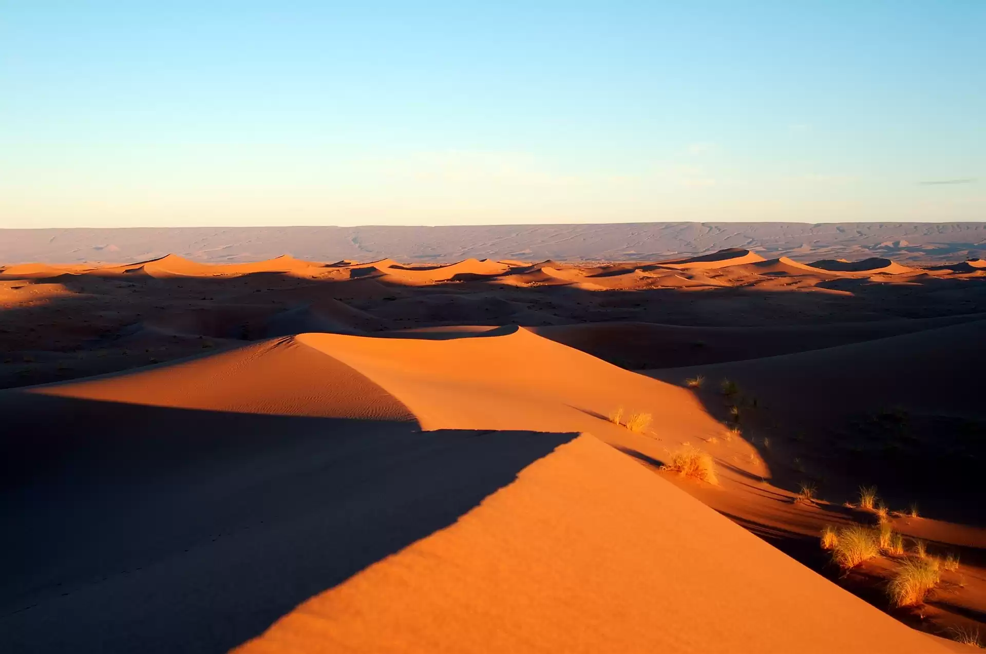 Circuit dans le Désert: Merzouga