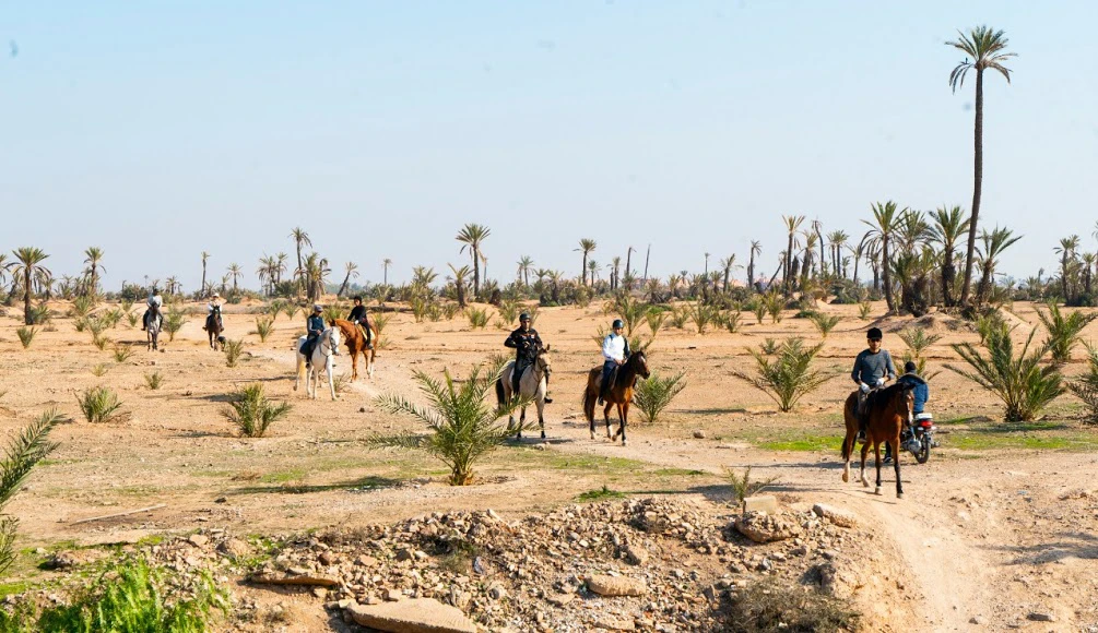 Paseo a caballo